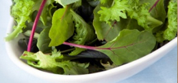 blog-salad